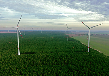 Windpark Wahlsdorf